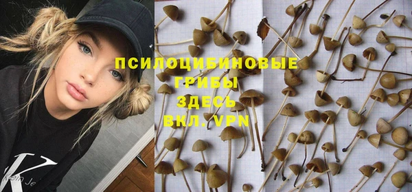 тгк Вязники