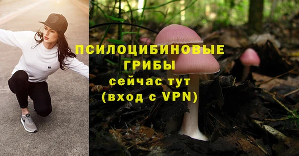 jwh Володарск