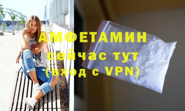 стафф Вяземский