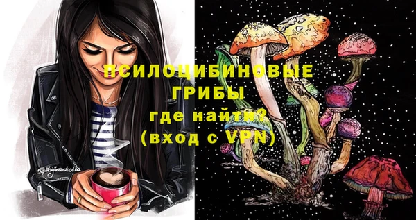 стафф Вяземский