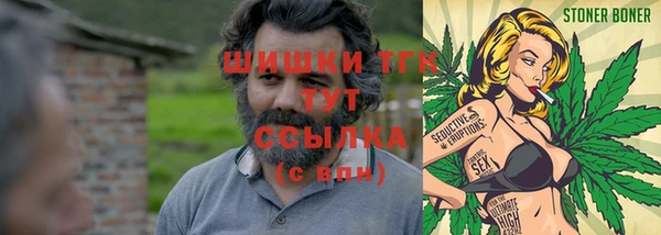 стафф Вяземский